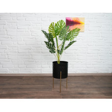 طقم قواوير معدنية  FARMLYN Floor Planters  Black & Gold