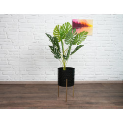 طقم قواوير معدنية  FARMLYN Floor Planters  Black & Gold