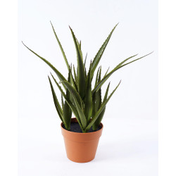 صبار زينة صناعي ALOE